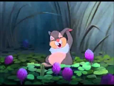 Thumper, What Did Your Father Tell You?
