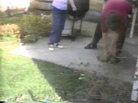 Thumper.wmv