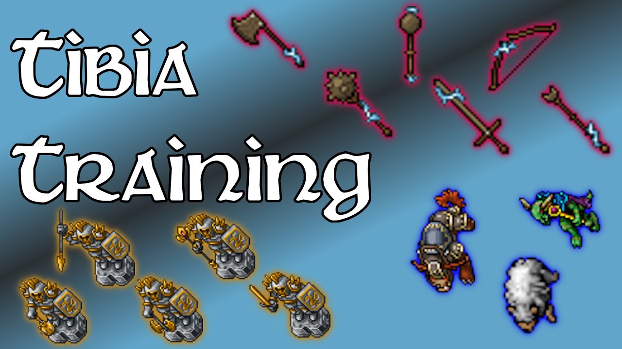 Tibia - Training (2024)