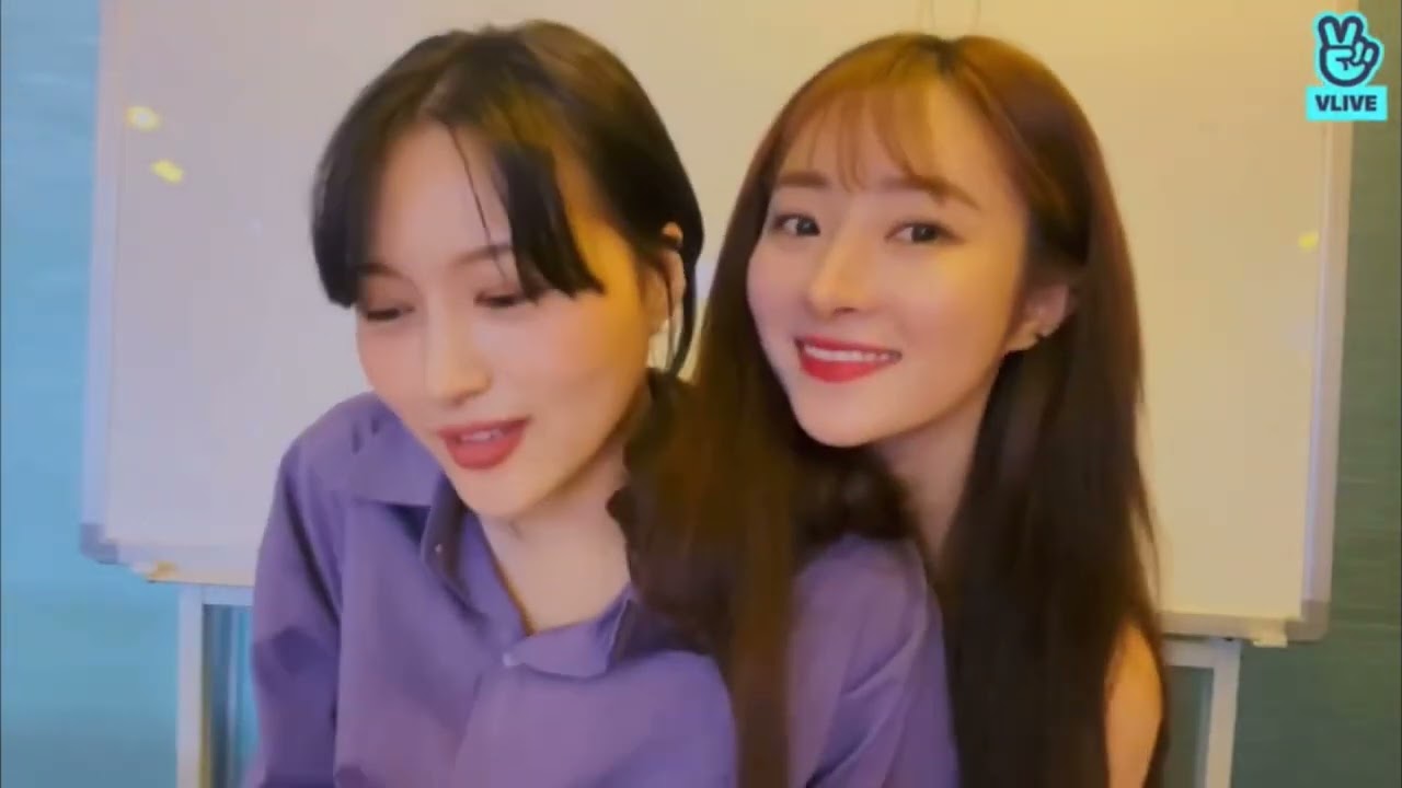 Tickle Catcher | Dreamcatcher Fighting For Their Life For 11 Minutes ( mostly from SuA)