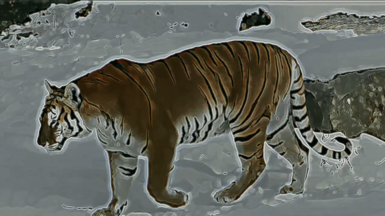 Tiger scenes pack twixtor for edits