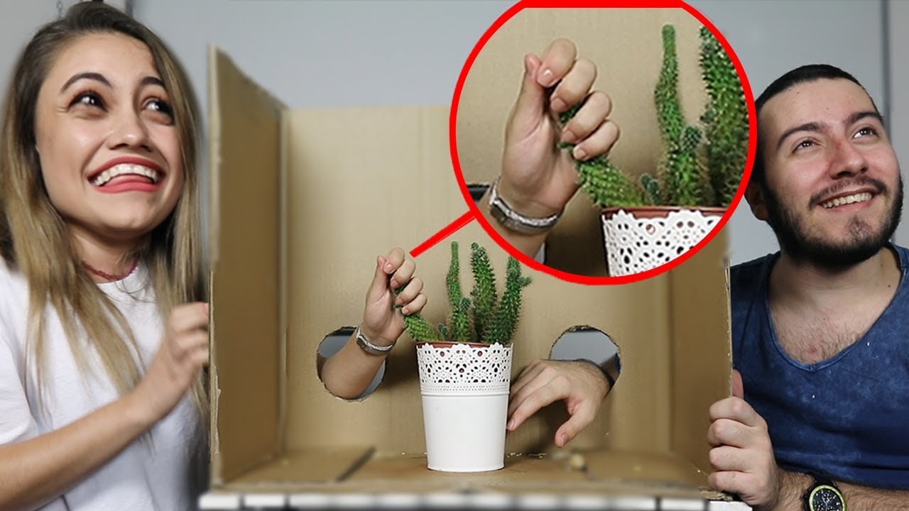 TIGHTEN THE CACTUS (WHAT'S IN THE BOX CHALLENGE)