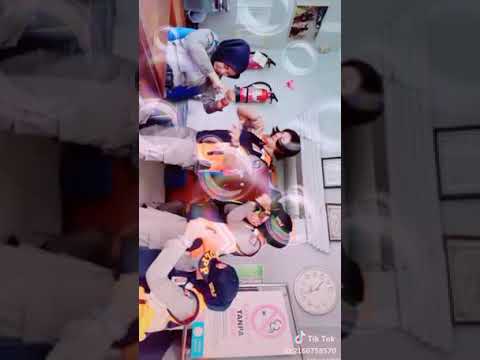 Tik tok polisi