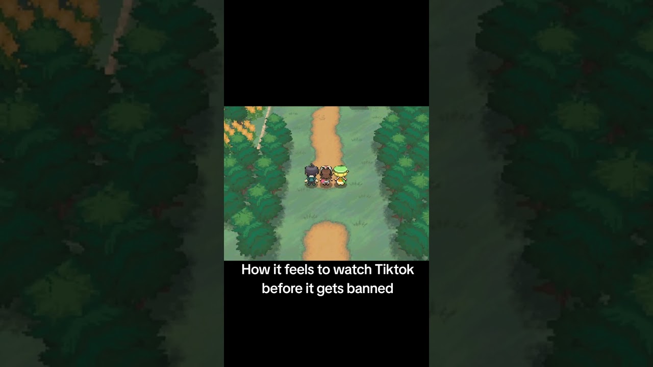 Tiktok Banned| Ignore the Capcut logo at the end