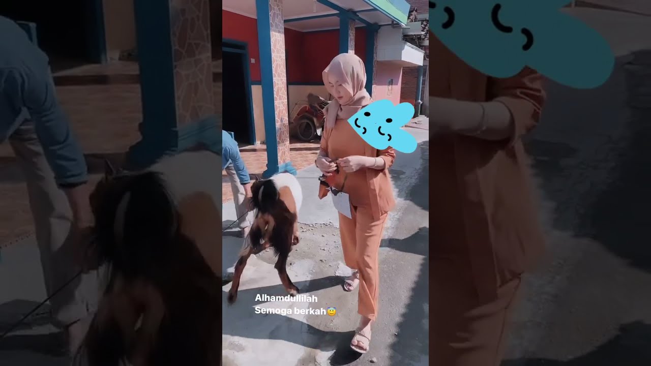 tiktok jilbab gunung gede kurban kambing