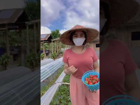 Tiktok Kak Bbyyega Terbaru  || Part 176 #SHORTS