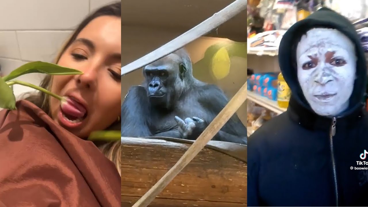 TikTok Memes That Could Beat 1 Gorilla In A Fight 💀
