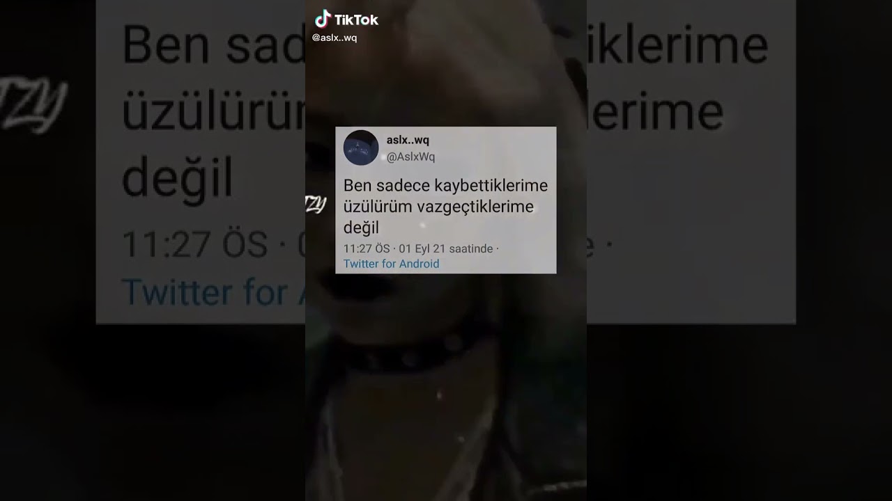 tiktok twitter Akımı/kısa #32