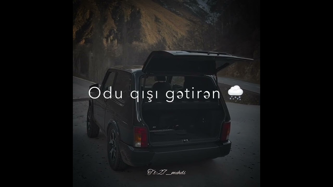tiktokda trend mahnı canımı verərdim o Nigarimin üstə