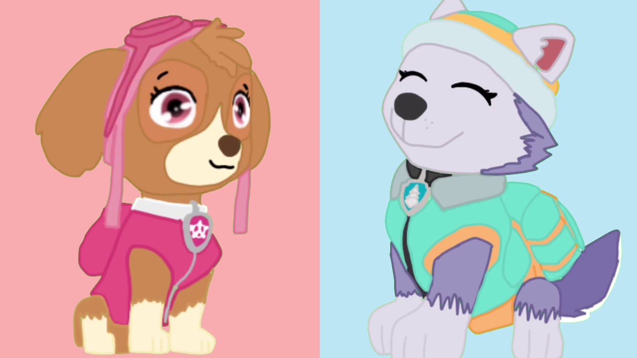 TIME LAPSE (MEME) || Paw Patrol