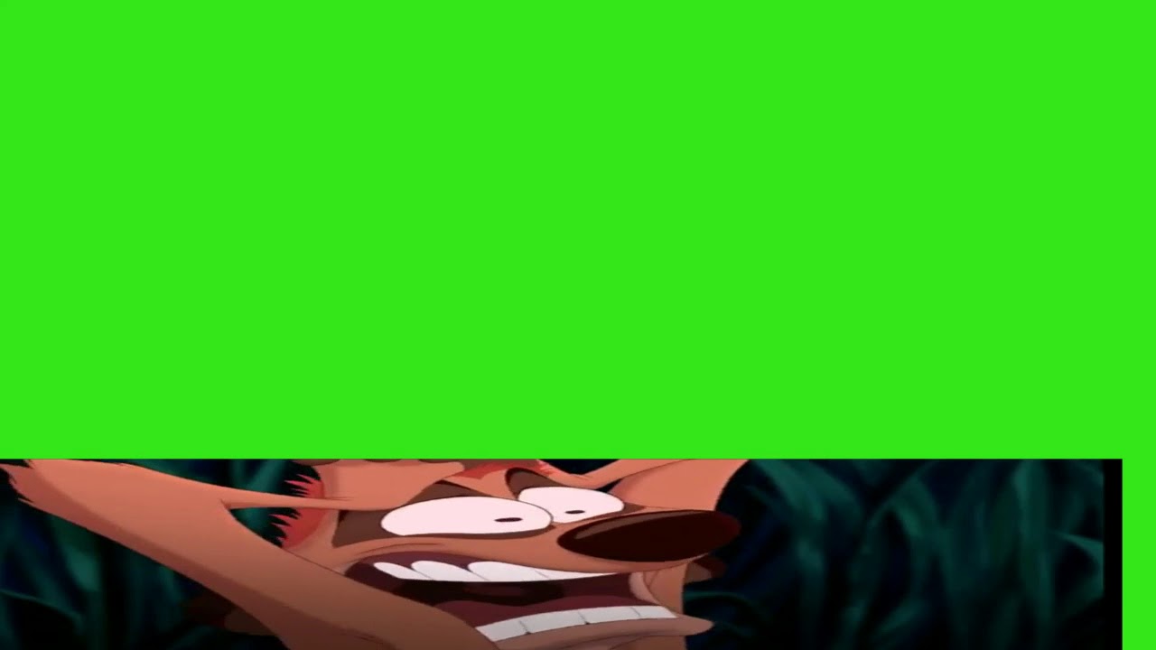 Timon And Pumbaa Scared At The Green Screen
