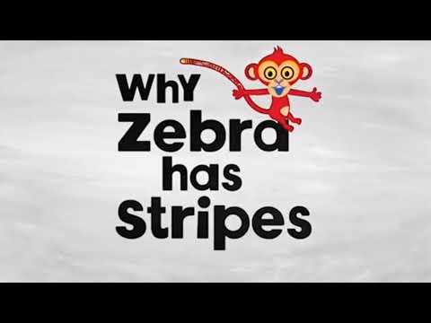 Tinga Tinga Tales Title Cards Why Zebra has Stripes
