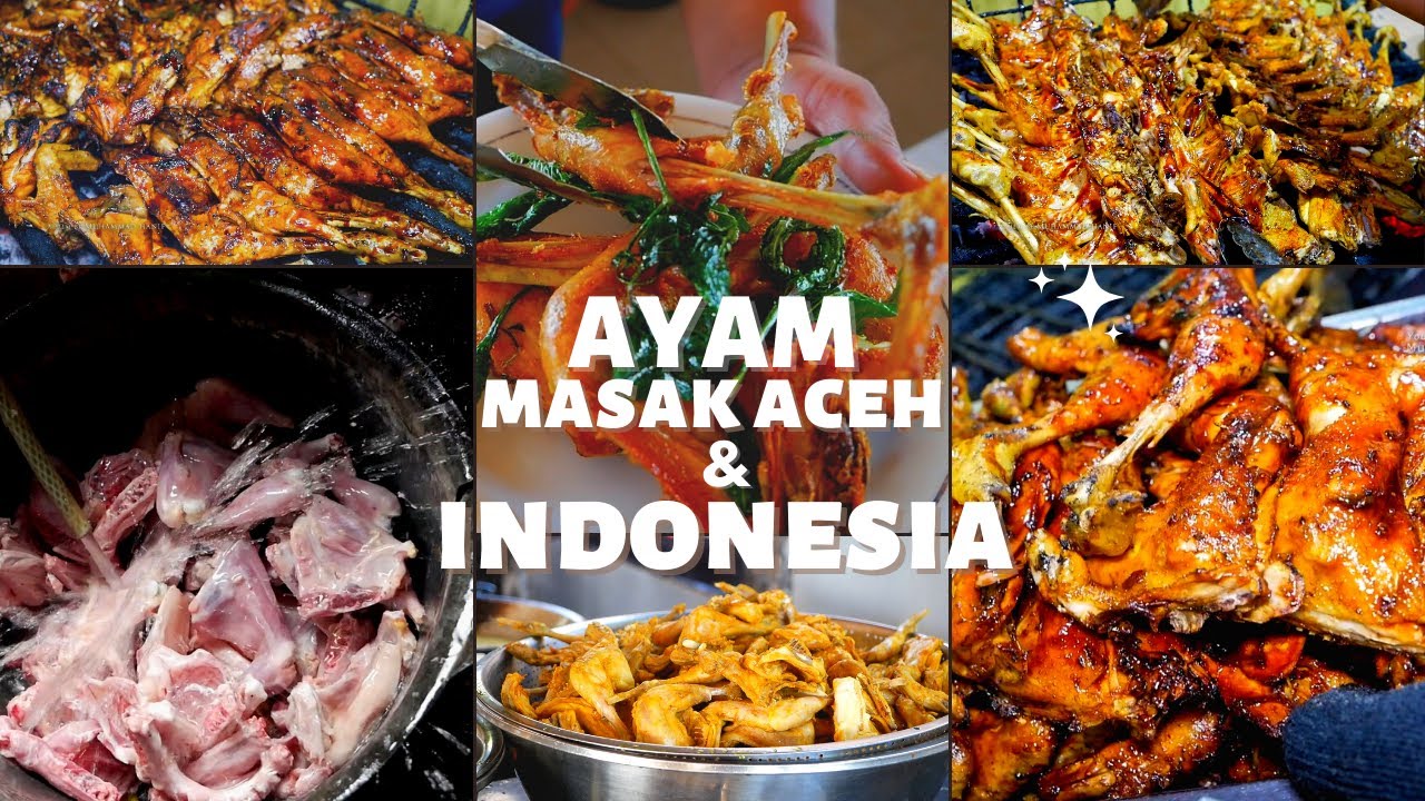 Tipe AYAM Paling ENAK Khas Aceh Nusantara (Ayam Goreng, Ayam Gulai, Ayam Bakar)