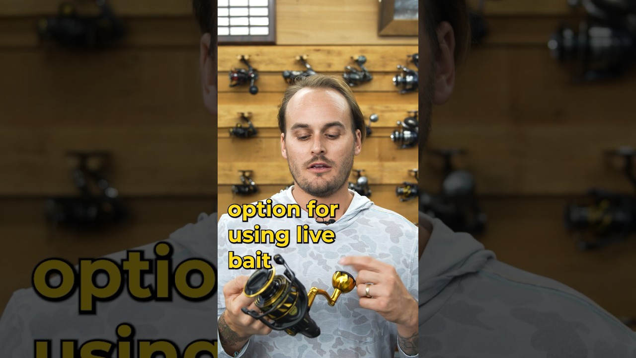 Tips for Buying a Tarpon Reel