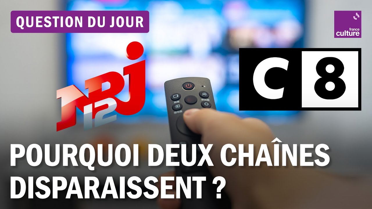 Télévision : quelles leçons peut-on tirer de l'arrêt des chaînes C8 et NRJ 12 ?