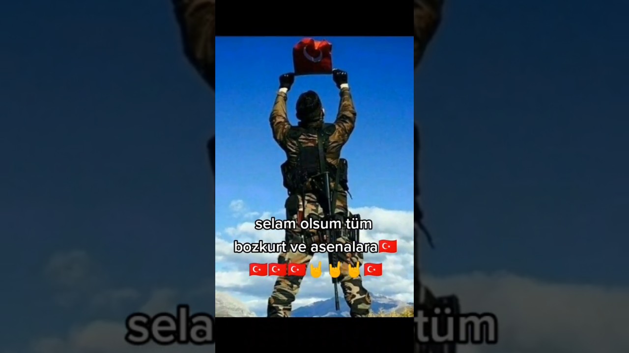TÜM BOZKURTLAR SELAM DURSUN #bozkurtlar