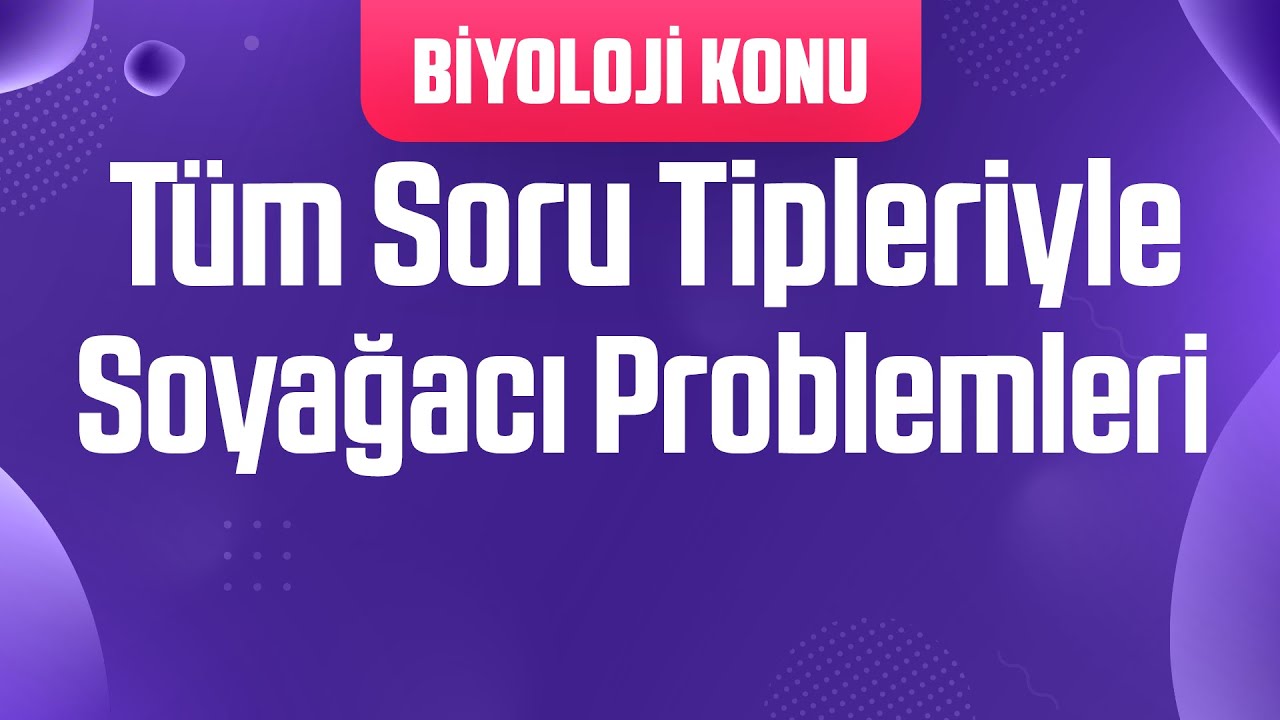 Tüm Soru Tipleriyle Soyağacı Problemleri