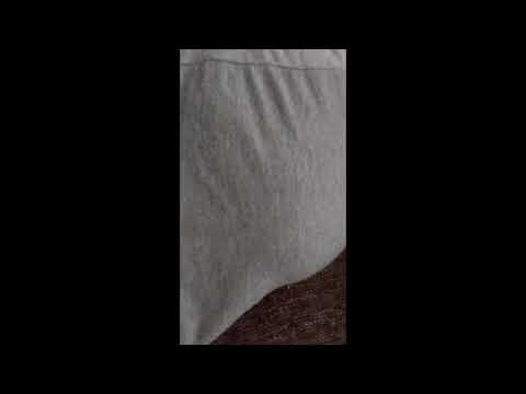 today's farts (part 1)