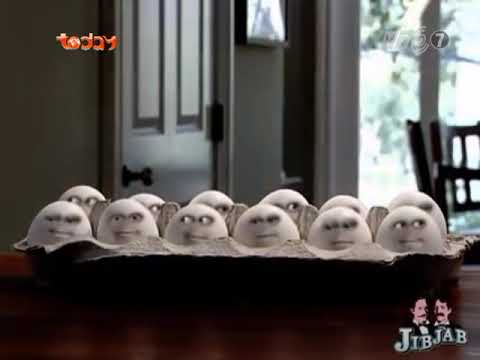 TodayTV (VTC7) Screaming eggs 11 (2014)