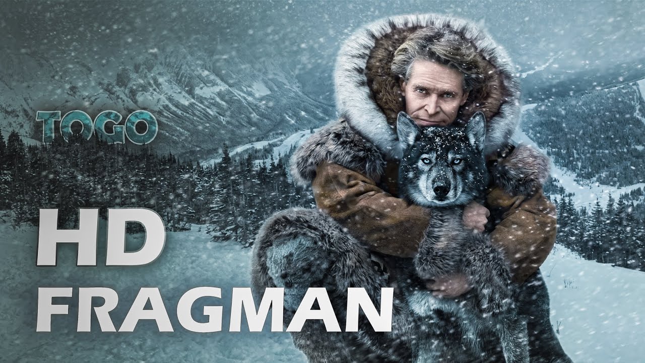 Togo - HD Türkçe Fragman - 2019