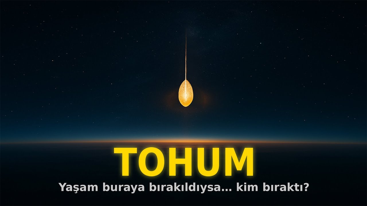 Tohum: Yaşamın Köklerindeki Sır