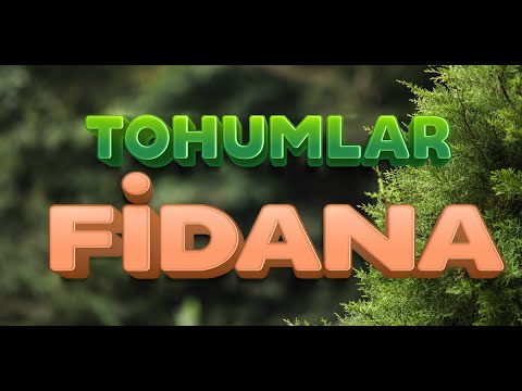 Tohumlar Fidana Fidanlar Ağaca Şarkısı - Çocuk Şarkıları