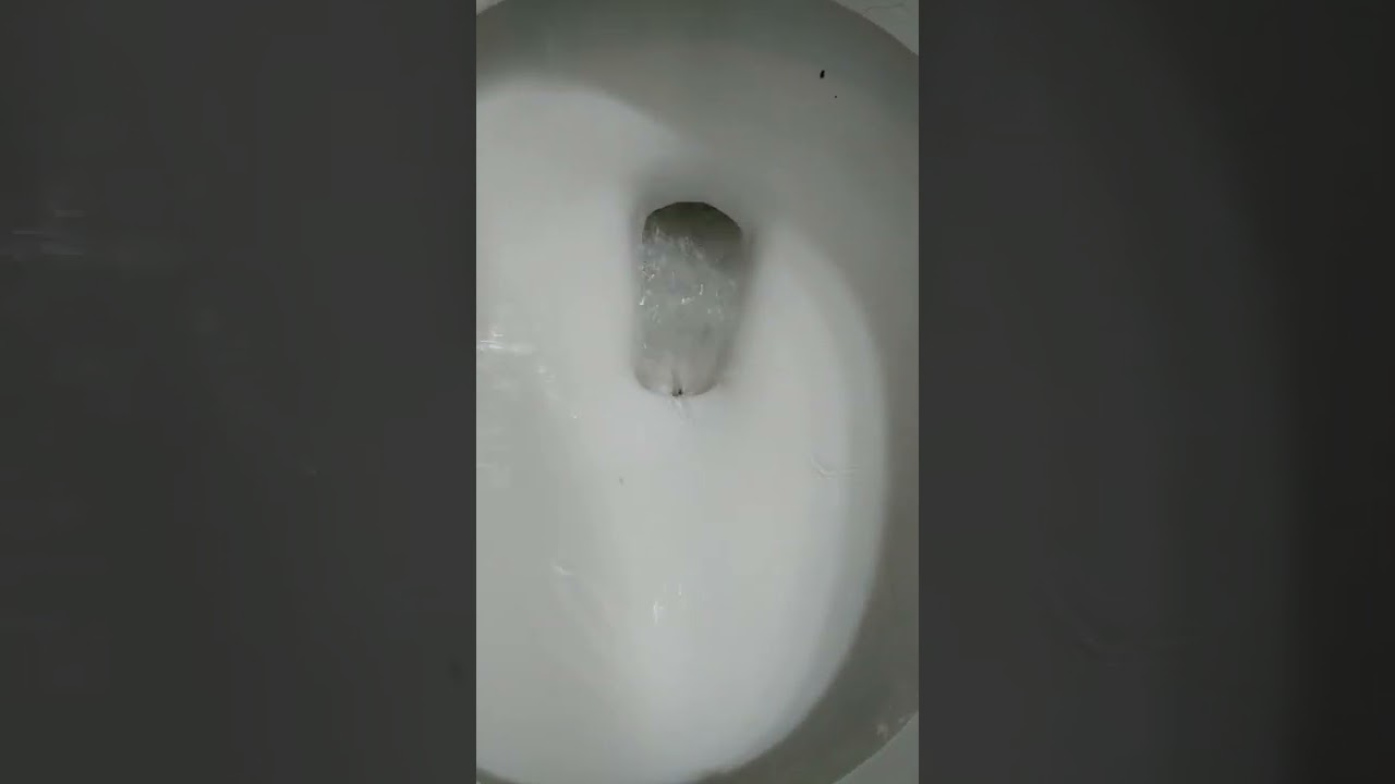 #toilet Asmr #flushing #relax sounds