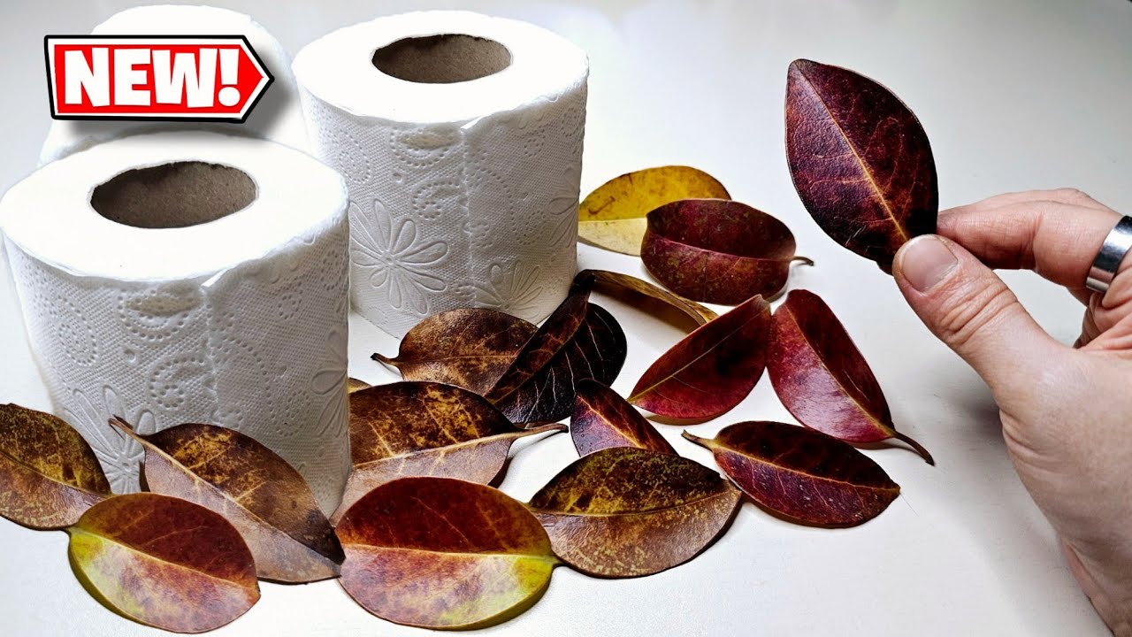 Toilet Paper And Dry Leaves!🥰 Great Recycling Idea!♻️👍