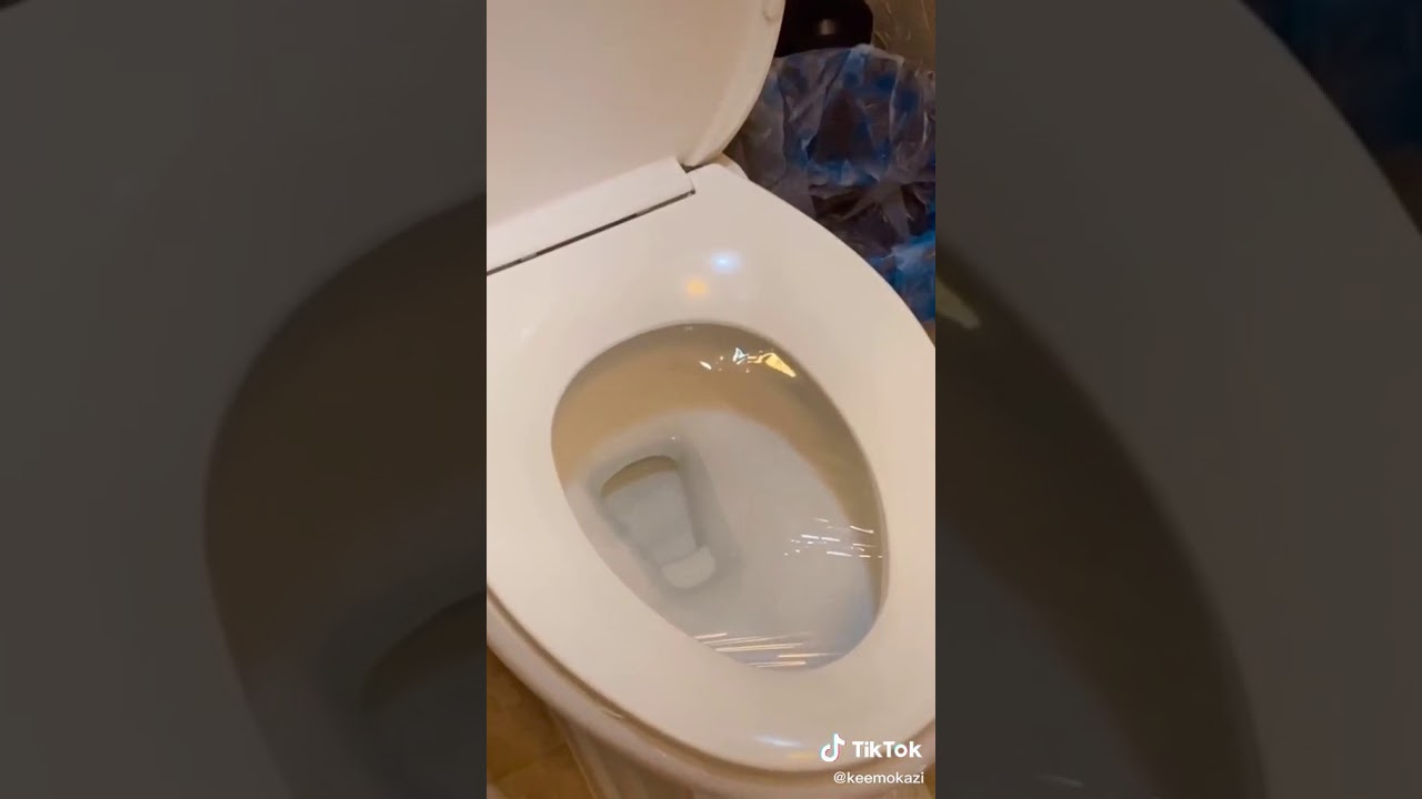 Toilet prank on my mom 😂😈💩