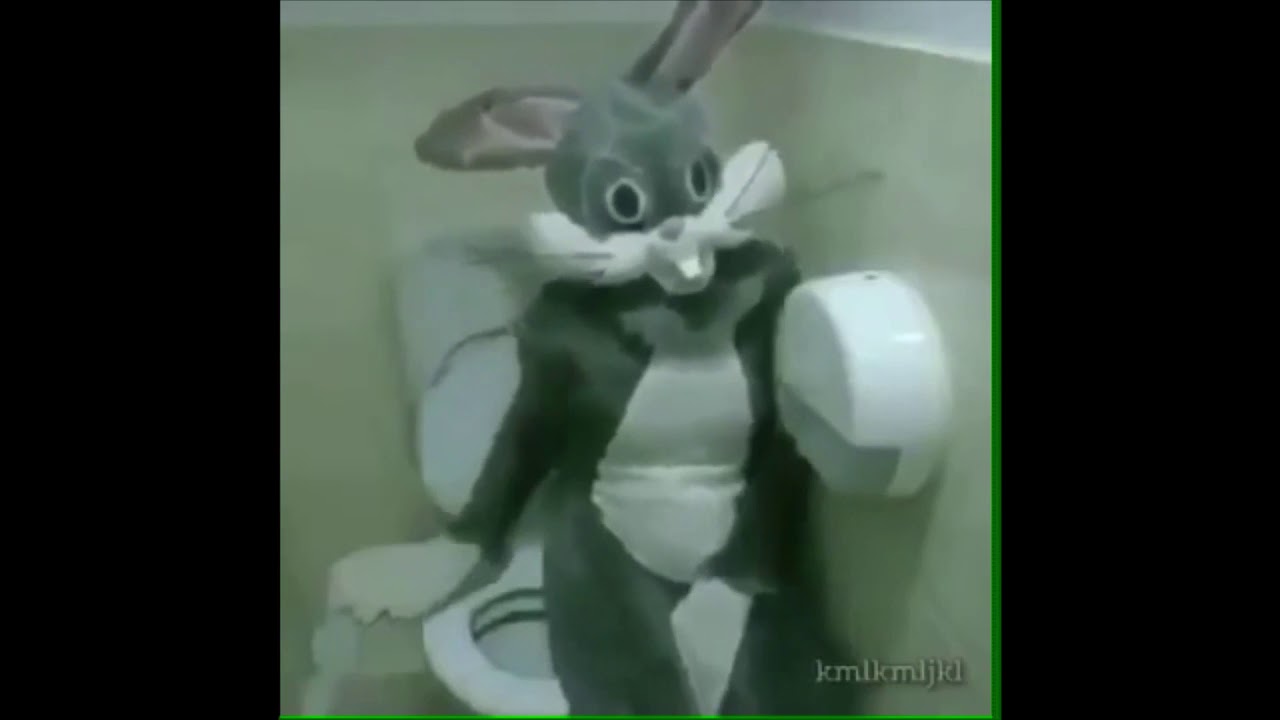 Toilet Rabbit