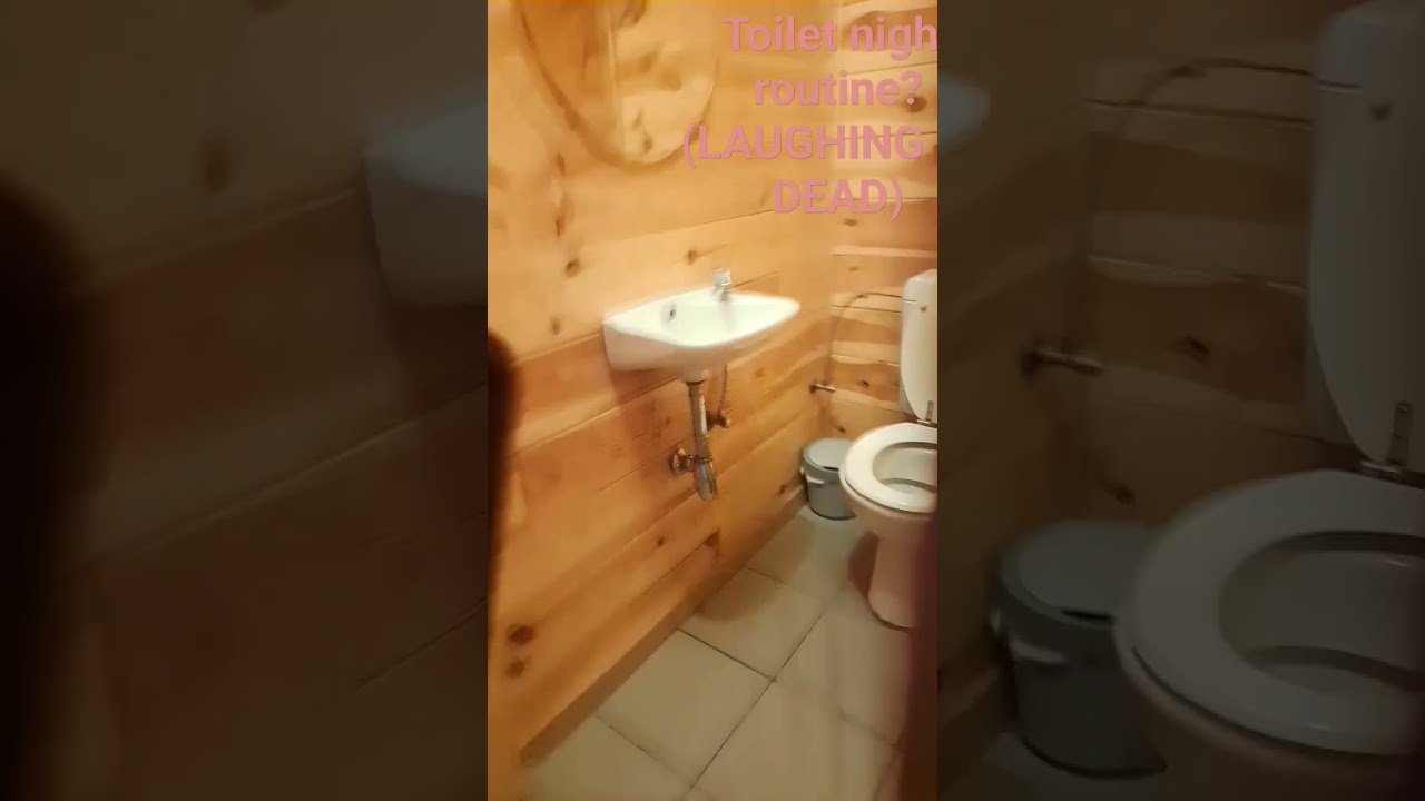 TOILeT ROuTiNe ( akward twerking huhuhu