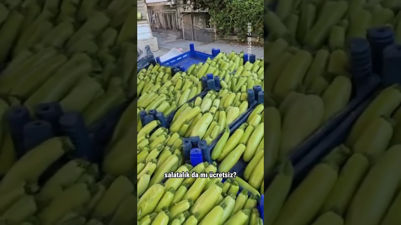 Tokat’ta bir pazarcı, kendi bahçesinde yetiştirdiği ilk mahsülleri pazarda ücretsiz dağıttı