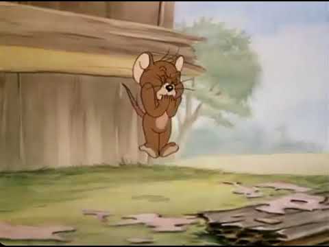 Tom & Jerry   Season 2    Episode 3 Part 3 of 3   The Bodyguard