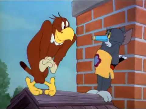 Tom & Jerry   Season 2   Episode 9 Part 2 of 3   Flirty Birdy