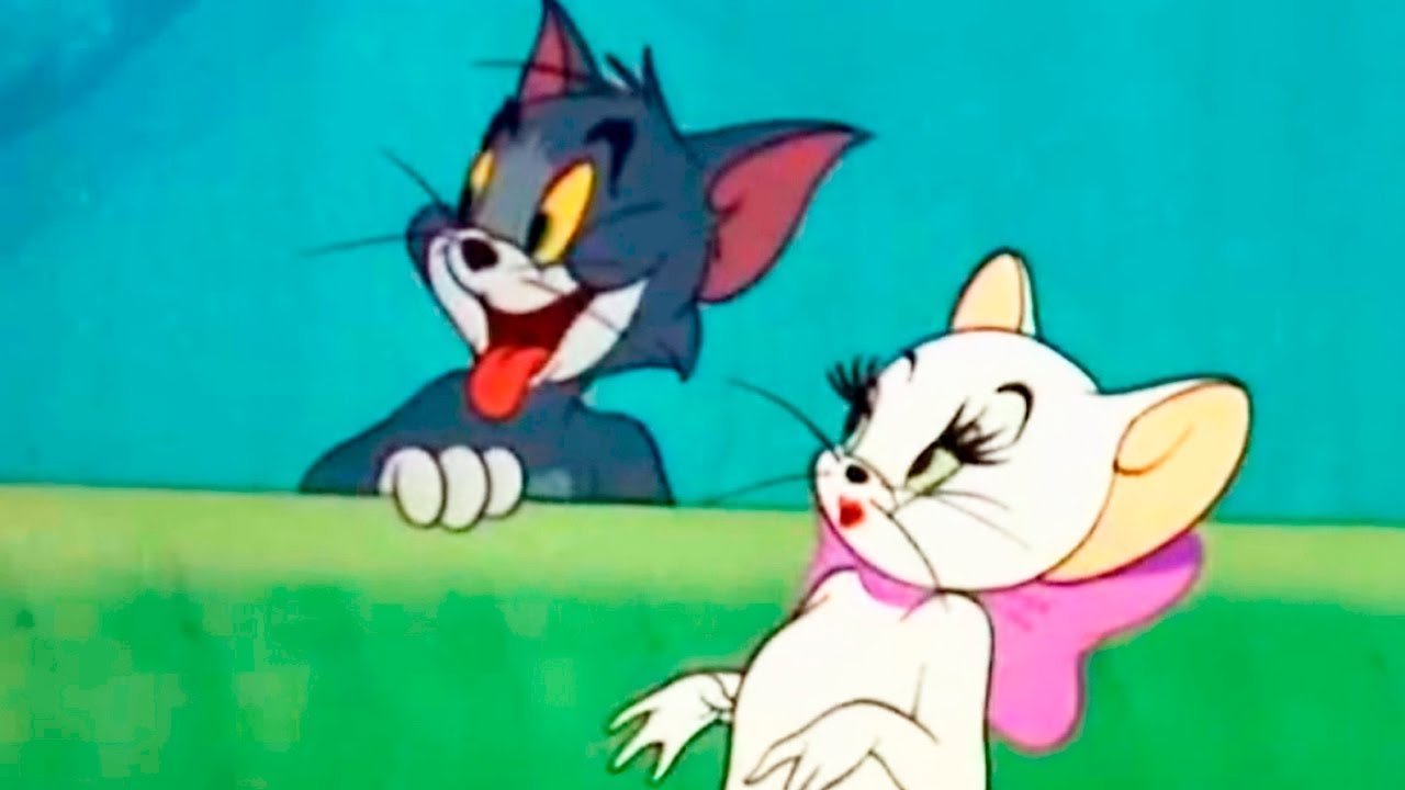 Tom and Jerry - Casanova Cat - Episode 55 - Tom and Jerry Cartoon ► iUKeiTv™