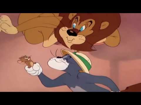 Tom and Jerry - Episode 50 - Jerry and the Lion - Part 3 Cartoon HD