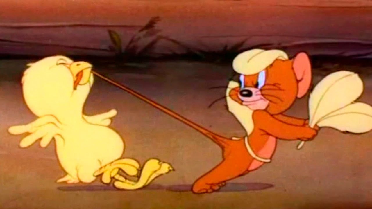 Tom and Jerry - Fine Feathered Friend - Episode 8 - Tom and Jerry Cartoon ► iUKeiTv™