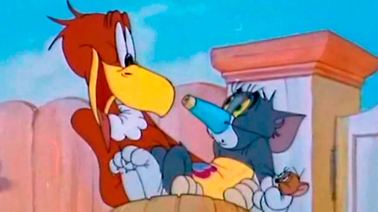 Tom and Jerry - Flirty Birdy - Episode 21 - Tom and Jerry Cartoon ► iUKeiTv™