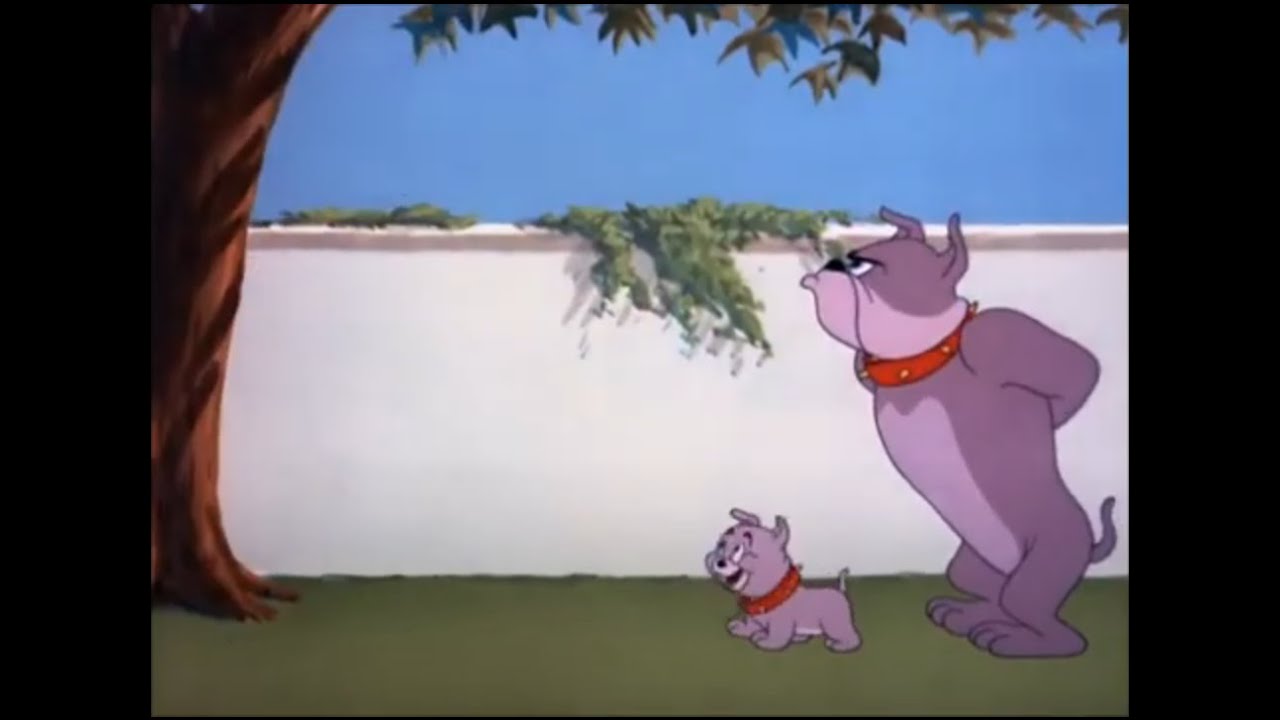 Tom and Jerry | That's My Pup! (1953)