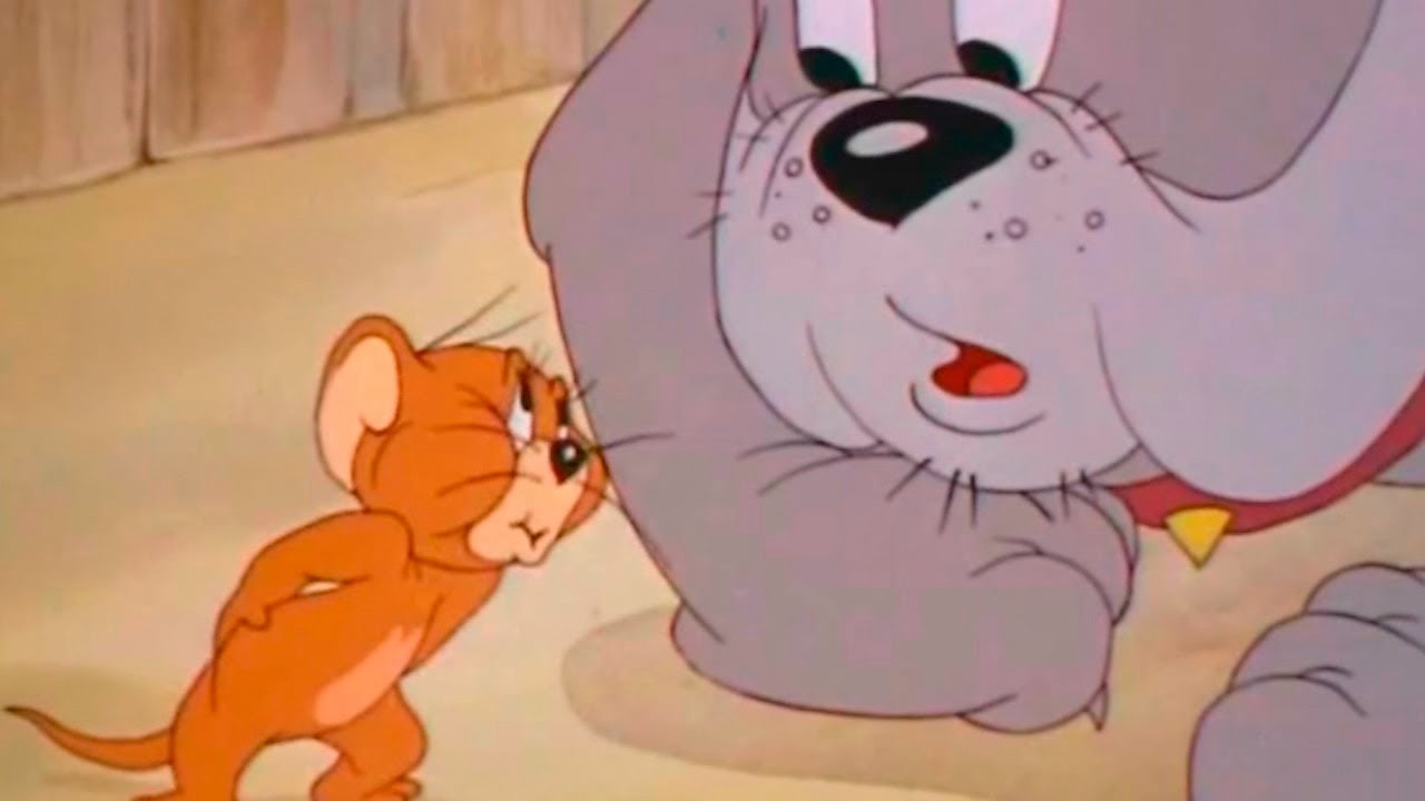Tom and Jerry - The Bodyguard - Episode 15 - Tom and Jerry Cartoon ► iUKeiTv™