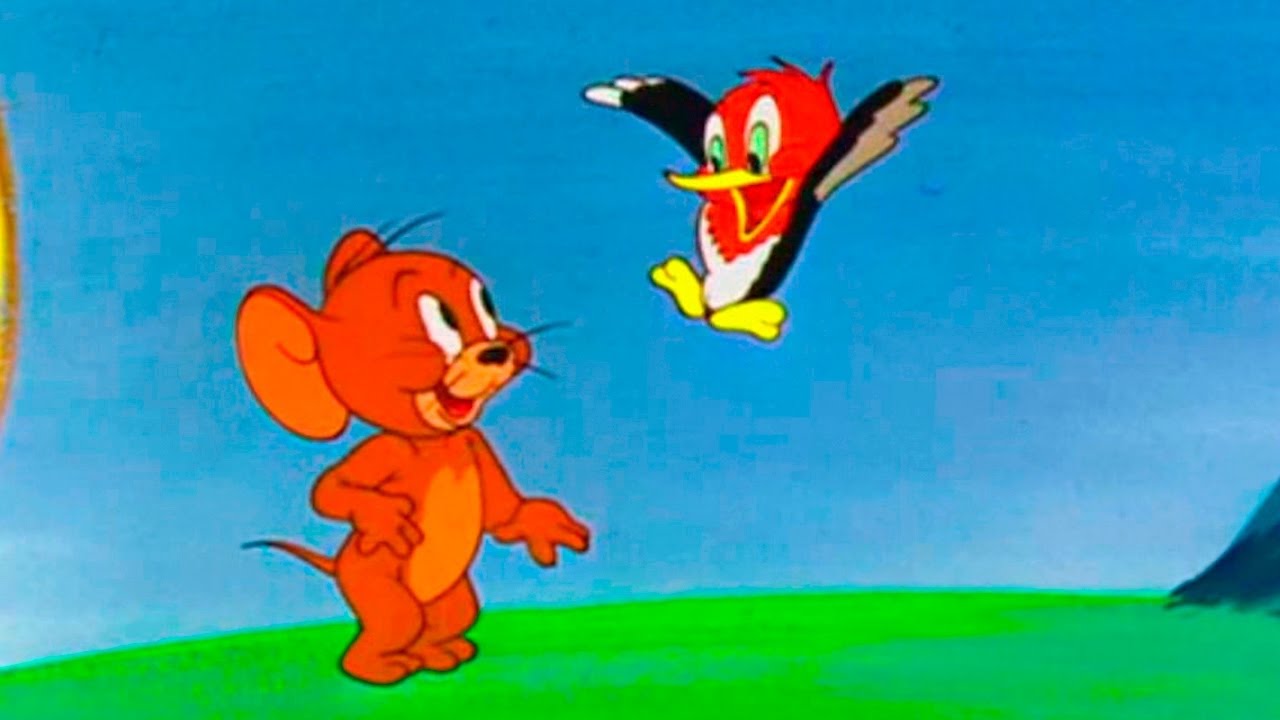 Tom and Jerry - The Egg and Jerry - Episode 99 - Tom and Jerry Cartoon ► iUKeiTv™