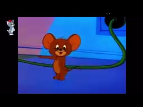 Tom and Jerry, 103 Episode - Down Beat Bear (1956)
