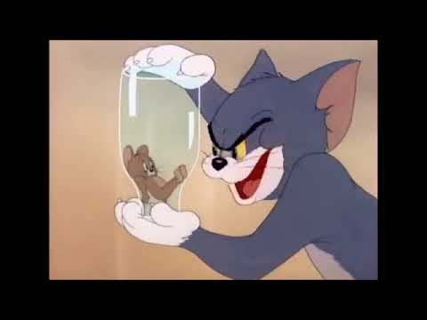 Tom and Jerry, 24 Episode   The Milky Waif 1946