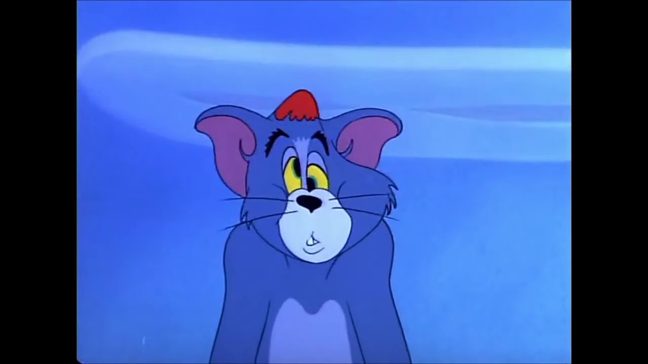 Tom and Jerry, 61 Episode   Nit Witty Kitty 1951