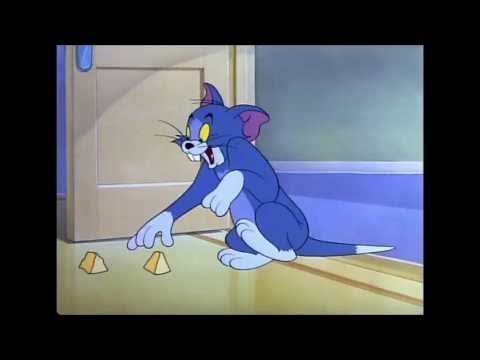 Tom and Jerry, 61 Episode - Nit-Witty Kitty (1951)
