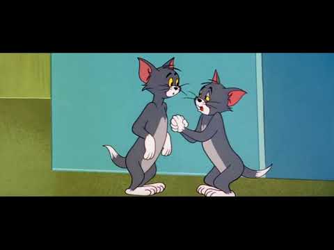 Tom and Jerry cartoon episode 106 - Timid Tabby 1956 - Funny animals cartoons for kids