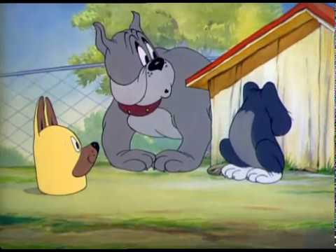 Tom and Jerry cartoon episode 16 - Puttin' on the Dog 1944 - Funny animals cartoons for kids