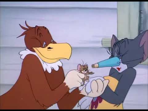 Tom and Jerry cartoon episode 21 - Flirty Birdy 1945 - Funny animals cartoons for kids