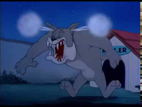 Tom and Jerry cartoon episode 26 - Solid Serenade 1946 - Funny animals cartoons for kids