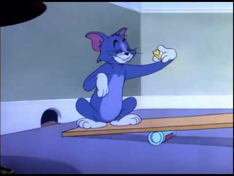Tom and Jerry cartoon episode 61 - Nit Witty Kitty 1951 - Funny animals cartoons for kids